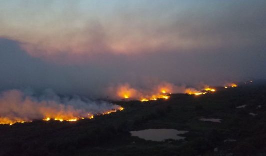 Brasil em Chamas: do Pantanal à Amazônia, a destruição não respeita  fronteiras - Greenpeace Brasil